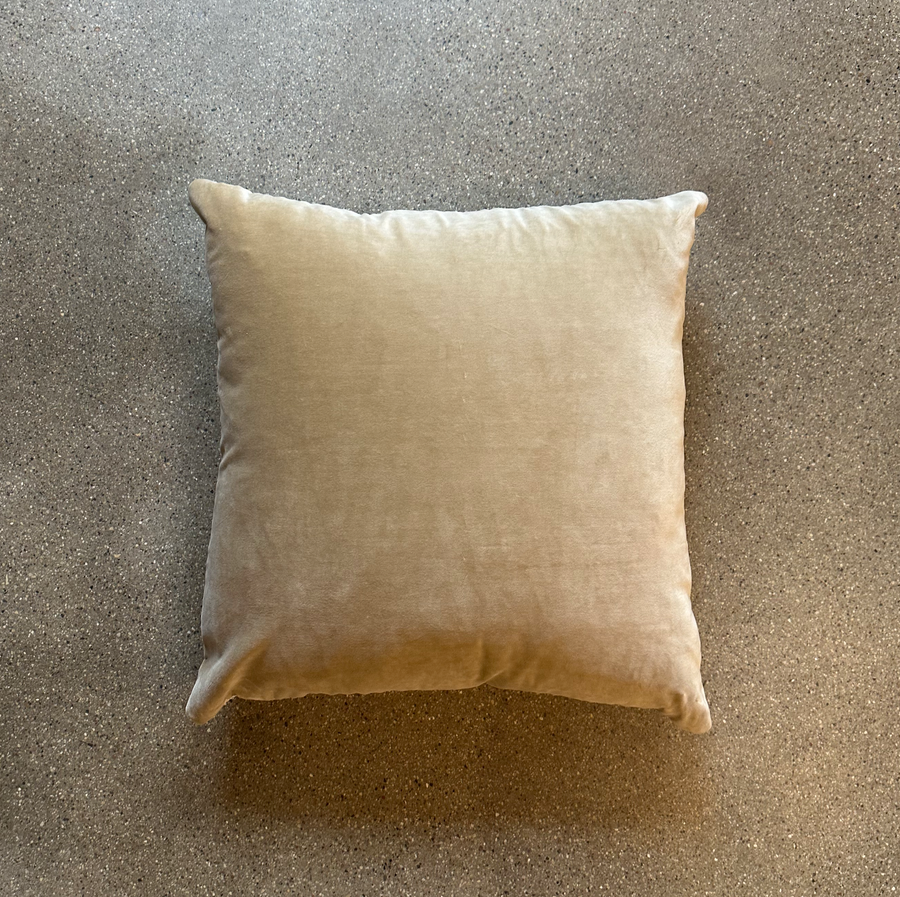 Tan Velvet Pillow / 24