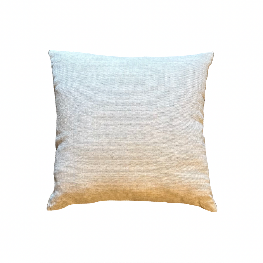Taupe Velvet Pillow / 22