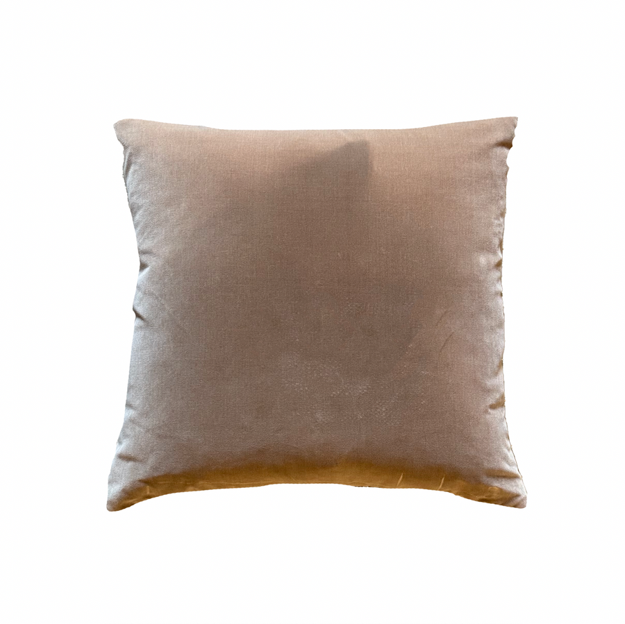 Taupe Velvet Pillow / 22
