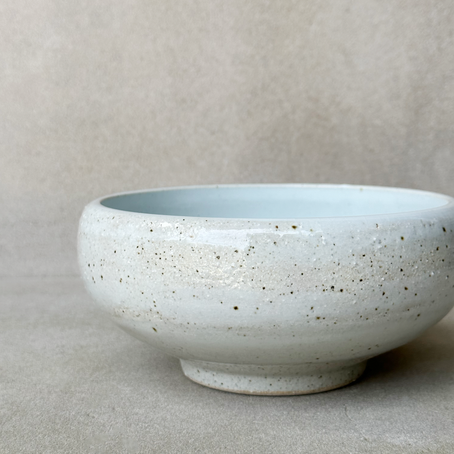Specks Porcelain Bowl