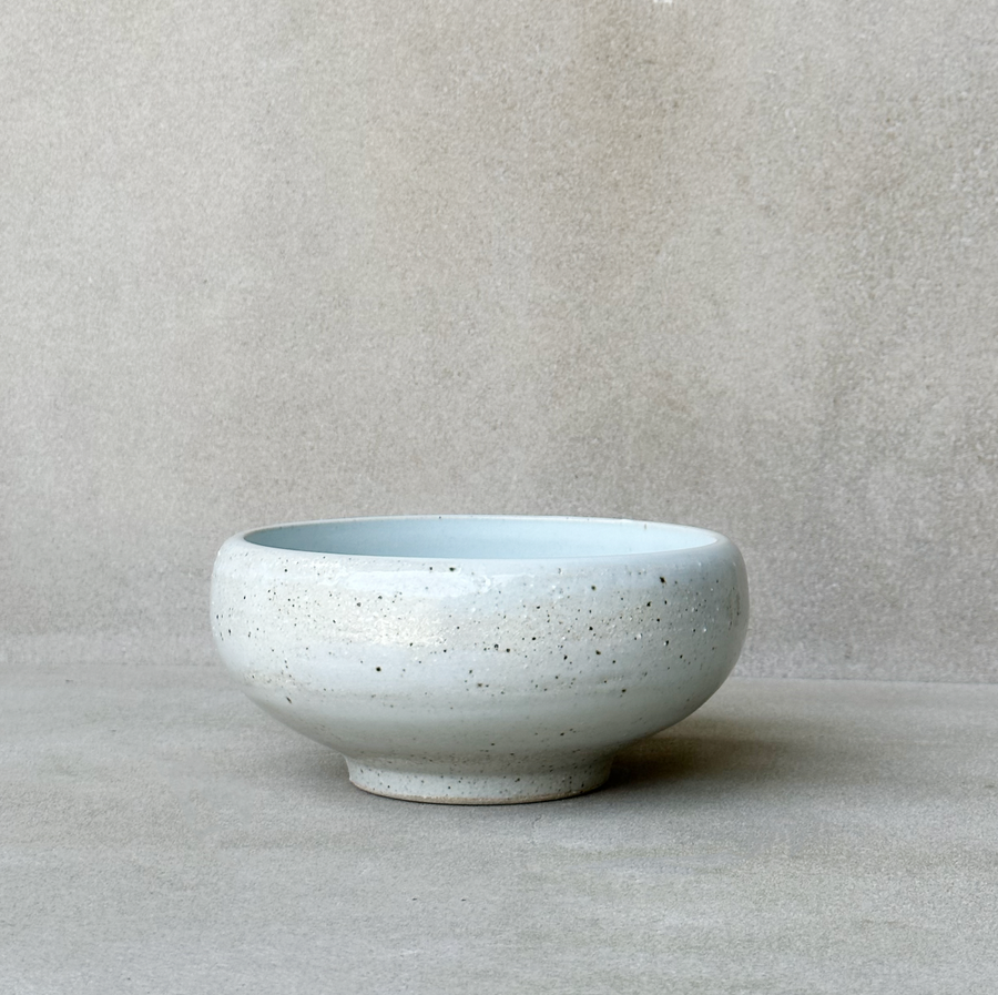 Specks Porcelain Bowl