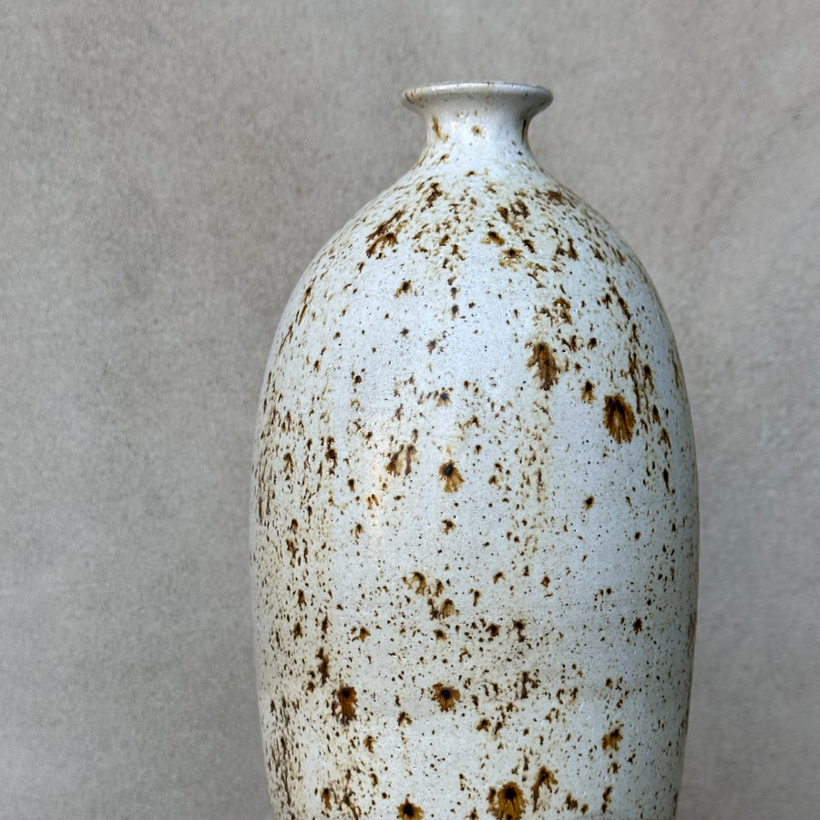 Dara Schuman Tall Specks Vase