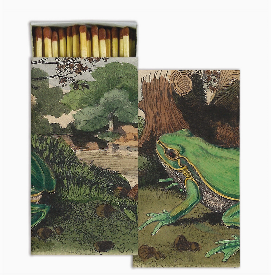 Landscape with Frog Matches