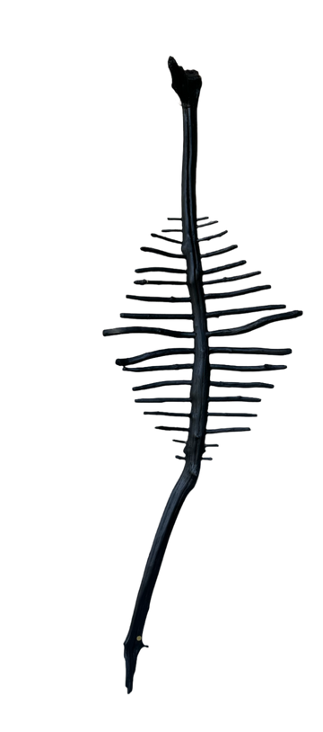 CN Charred Wood Spine Wall Sculpture