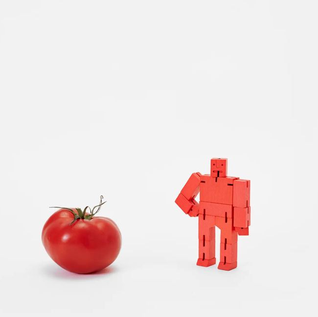 Cubebot Micro
