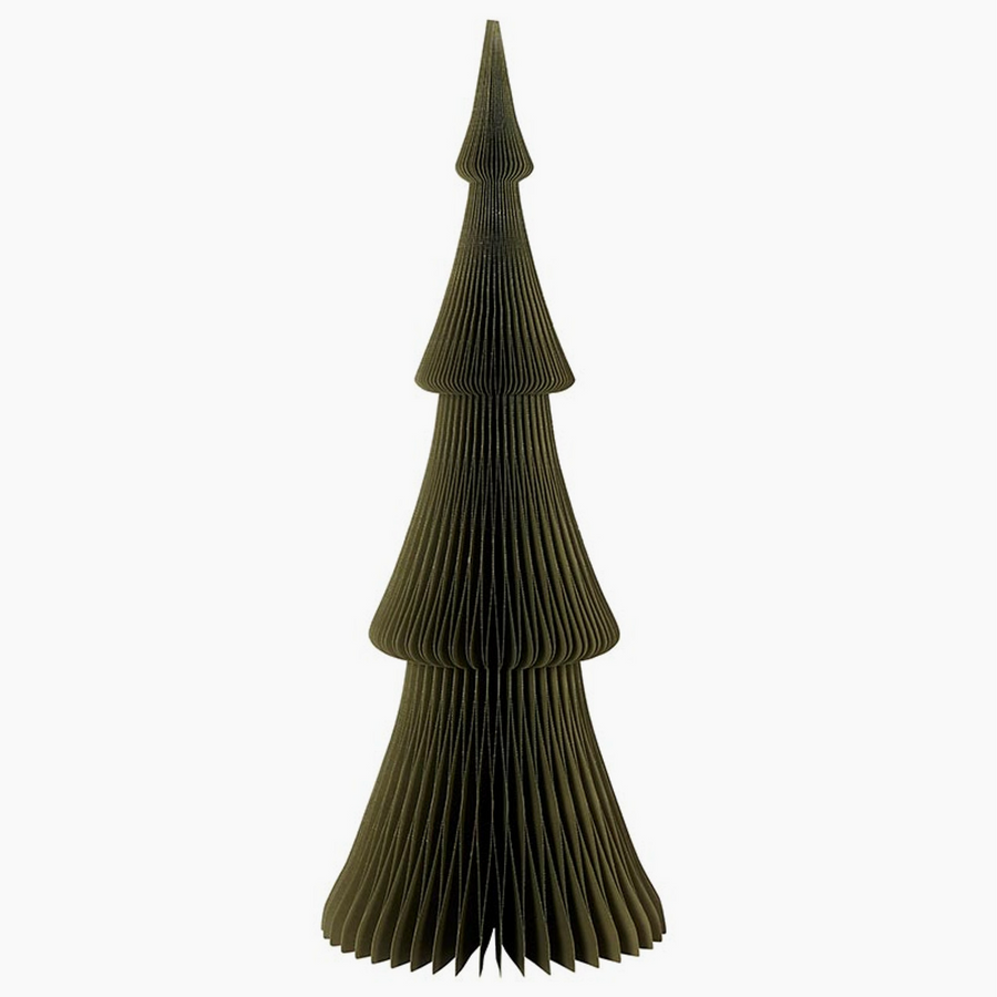 Paper Tree - Frasier Fir Forest Green 24