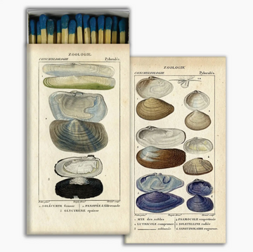 Sea Shell Matches