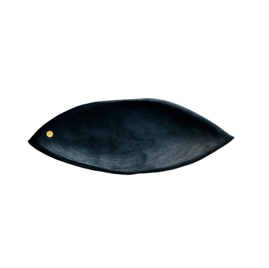 CN Eye Tray