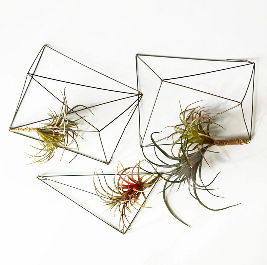 Wire Crystals Set/ 3