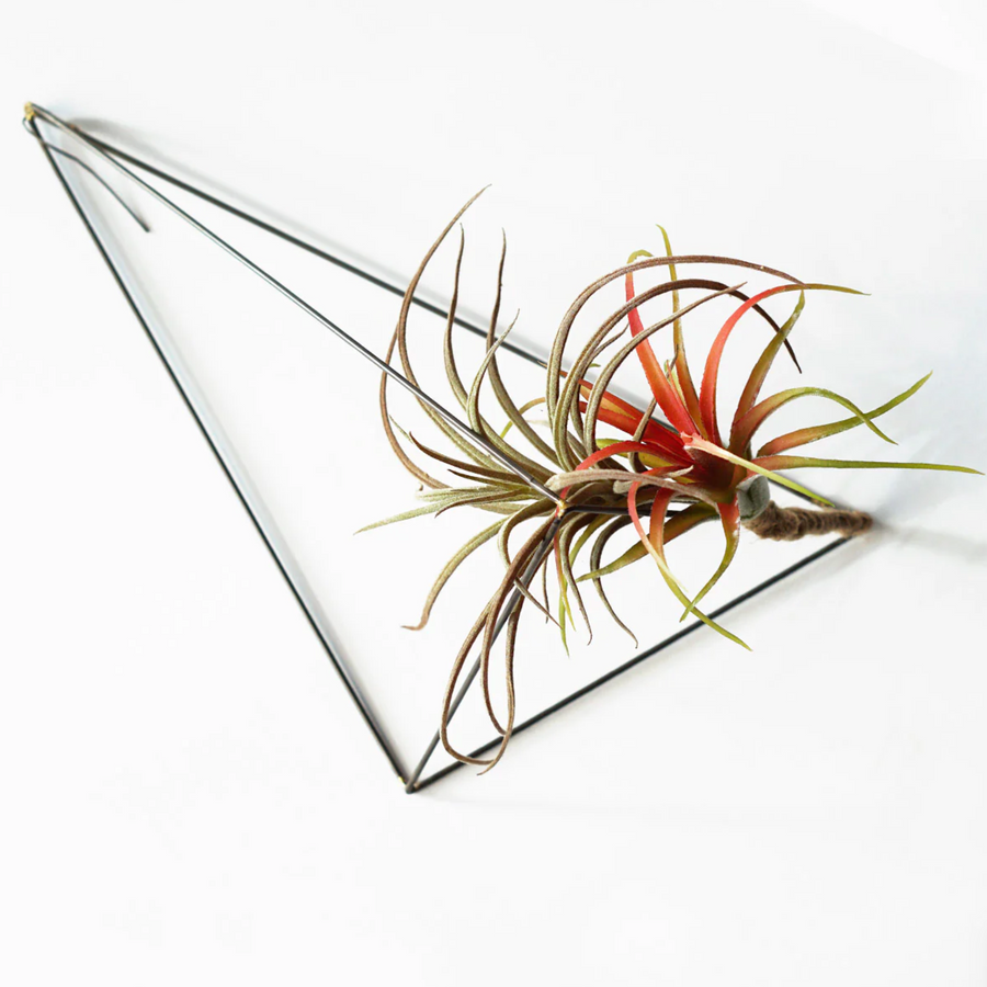 Wire Crystals Set/ 3