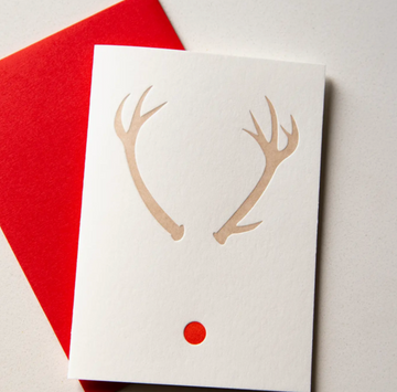 Modern Reindeer