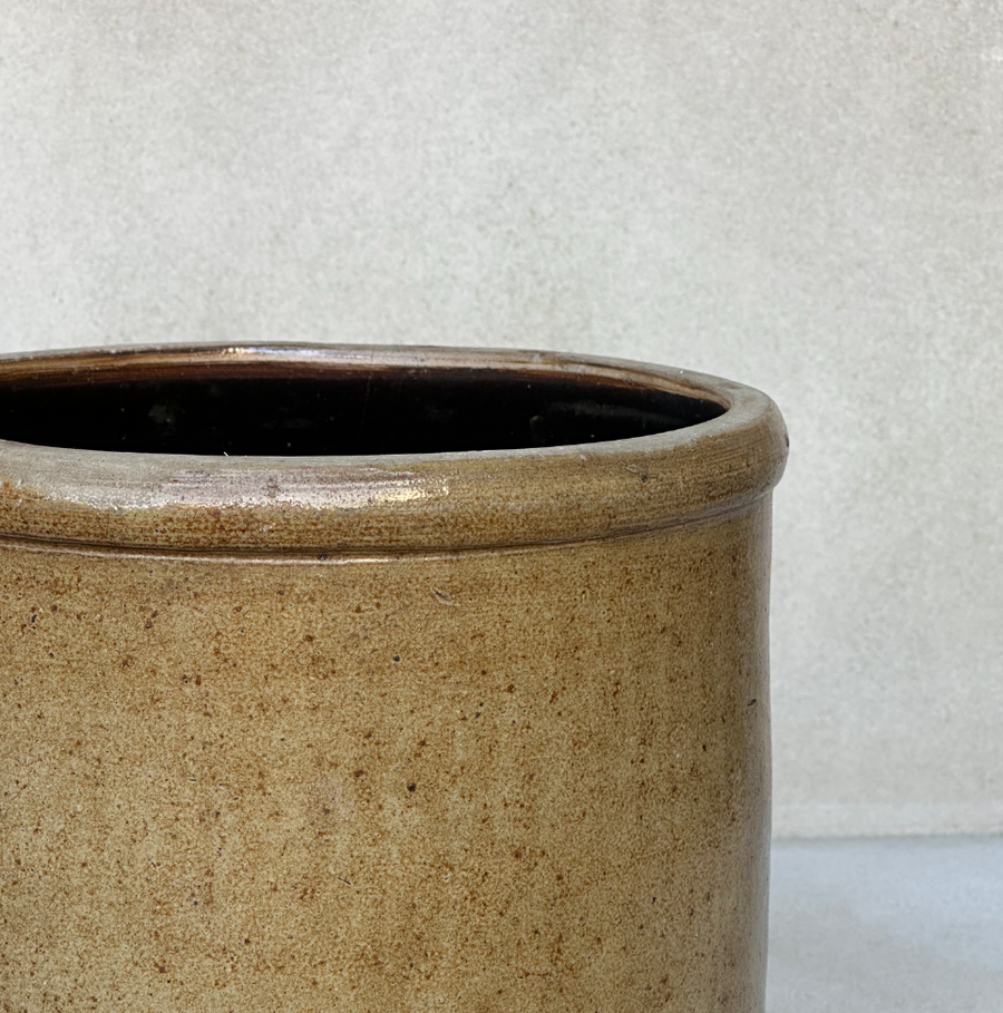 Vintage Specks Crock