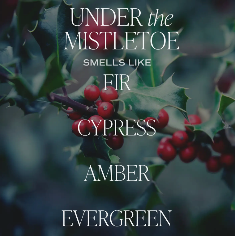 Under the Mistletoe 15 oz Soy Matte Candle