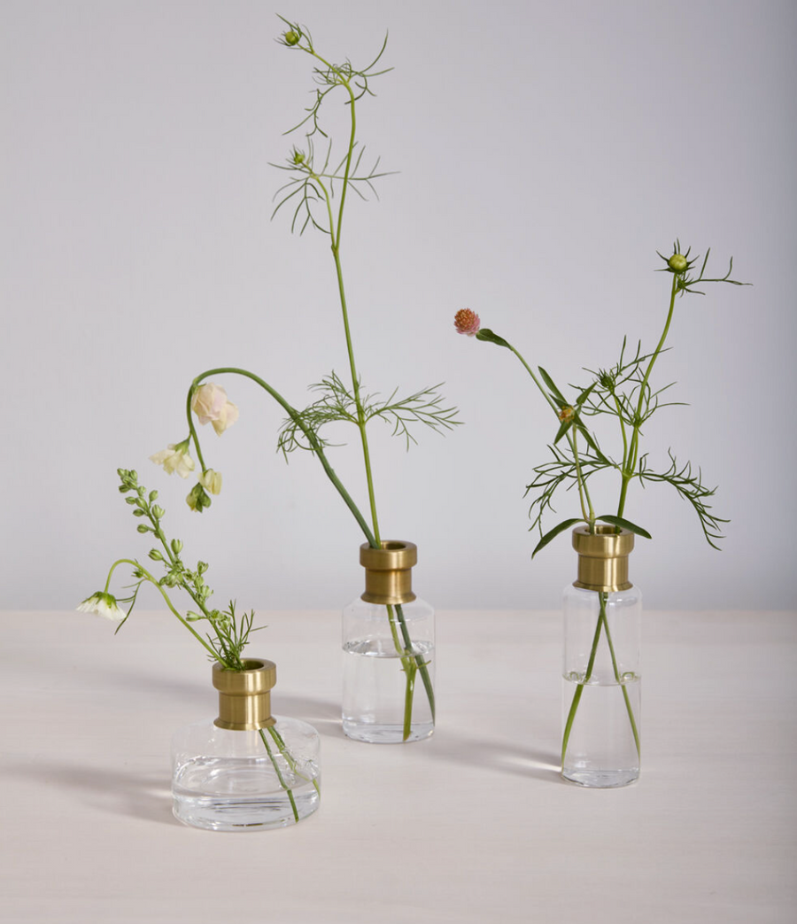 Propogation Vase