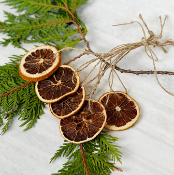 Dried Orange Slice Ornaments  / Set of 5