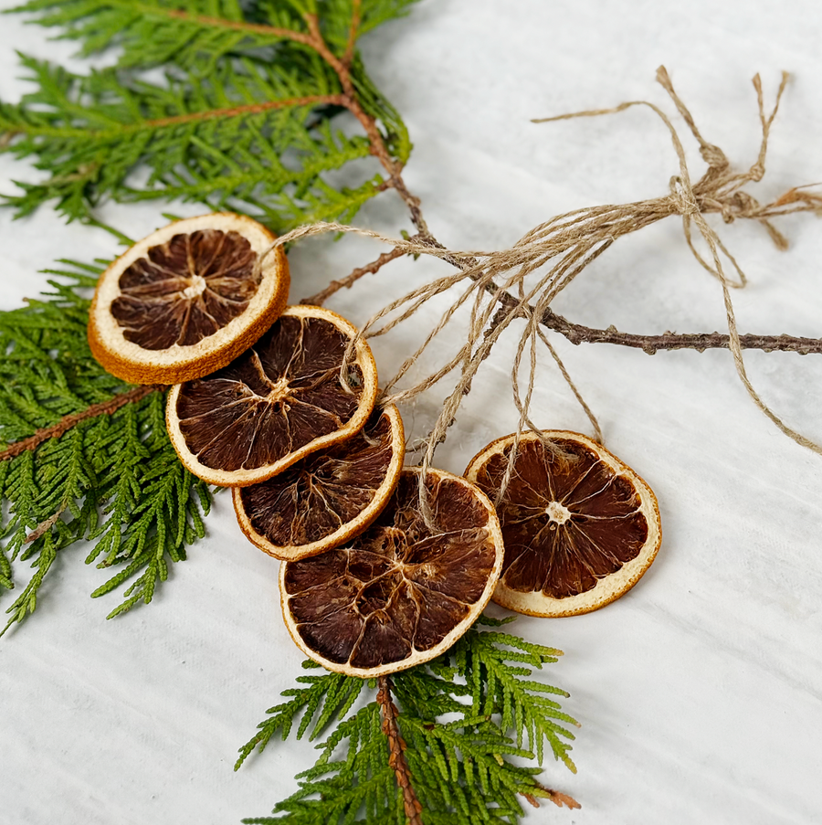 Dried Orange Slice Ornaments  / Set of 5