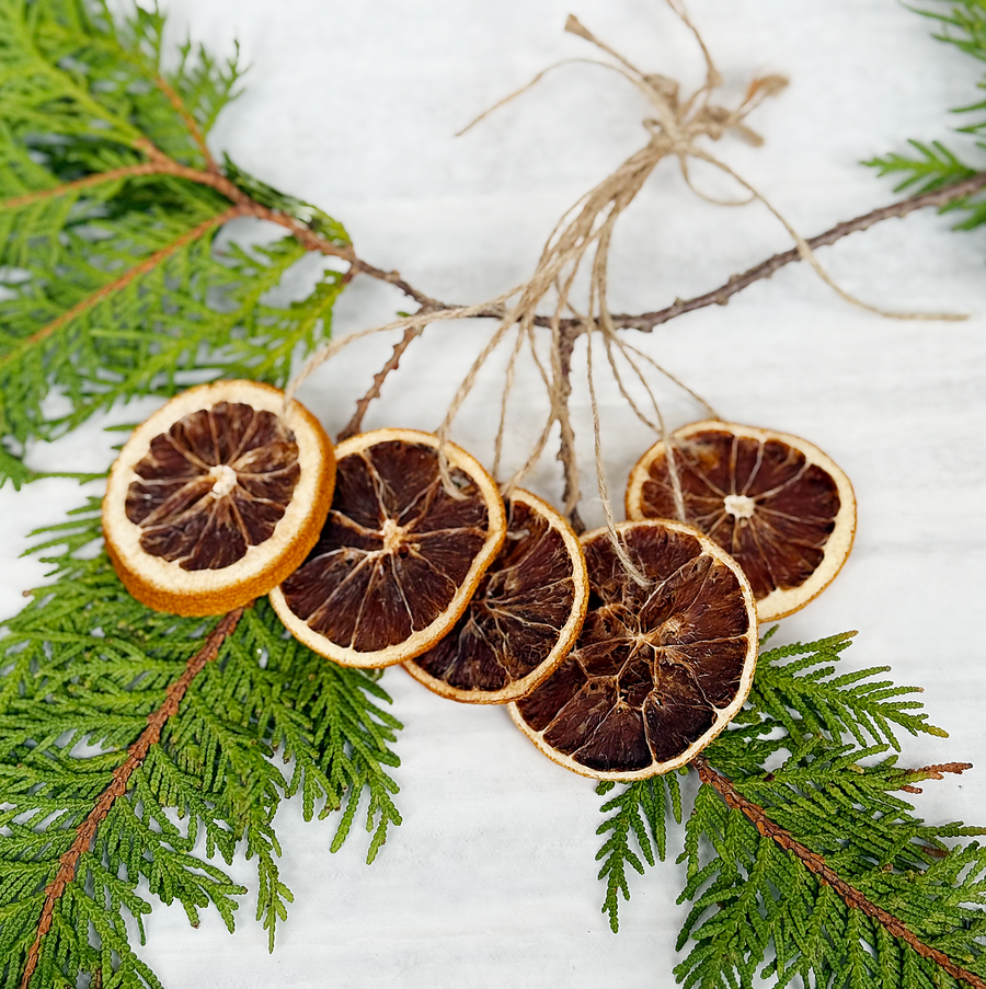 Dried Orange Slice Ornaments  / Set of 5