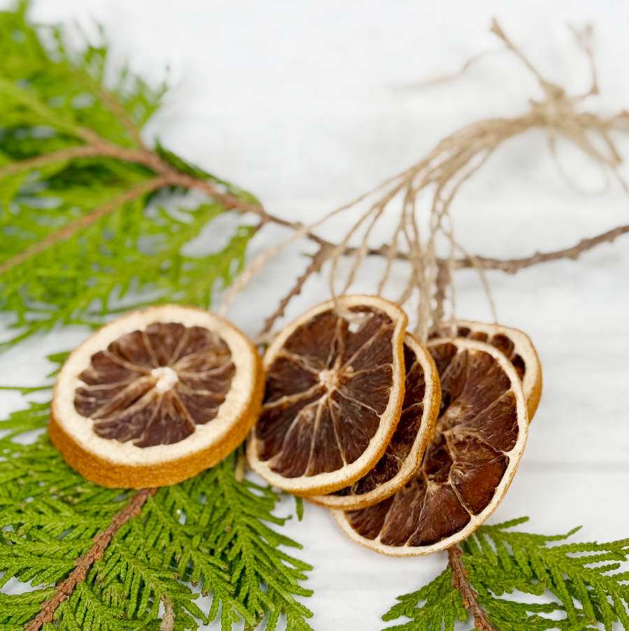 Dried Orange Slice Ornaments  / Set of 5
