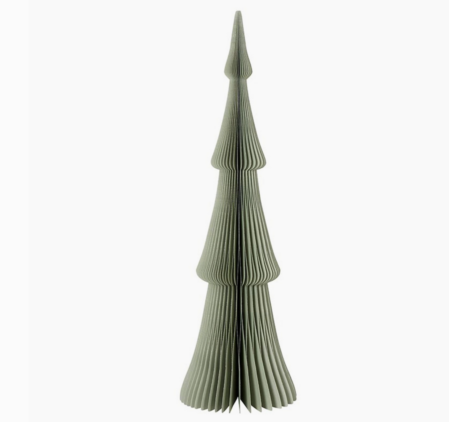 Paper Tree - Frasier Fir Sage Grey 18
