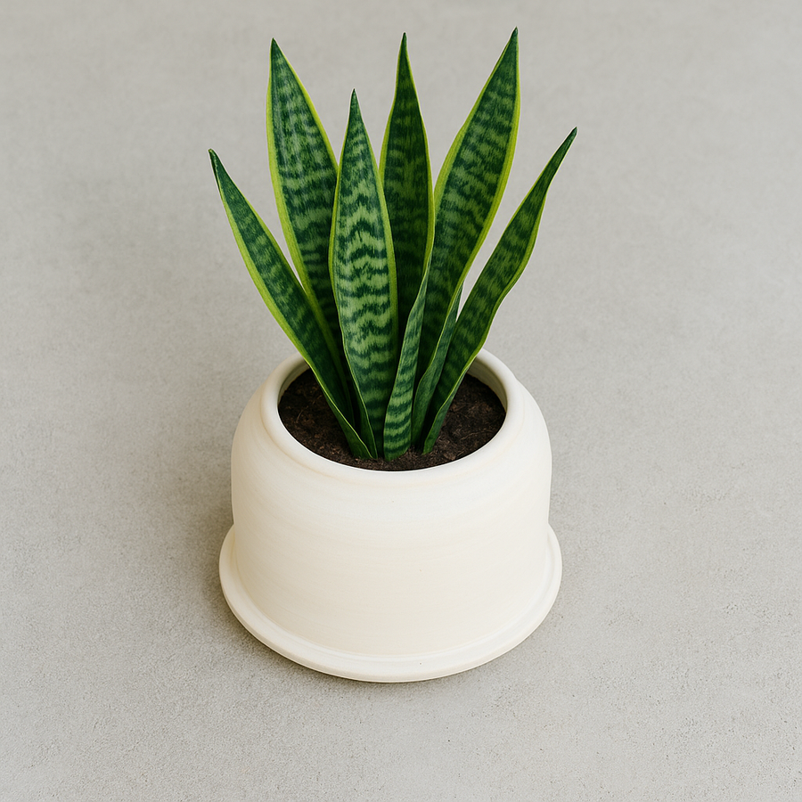 Studio Pottery Bell Planter