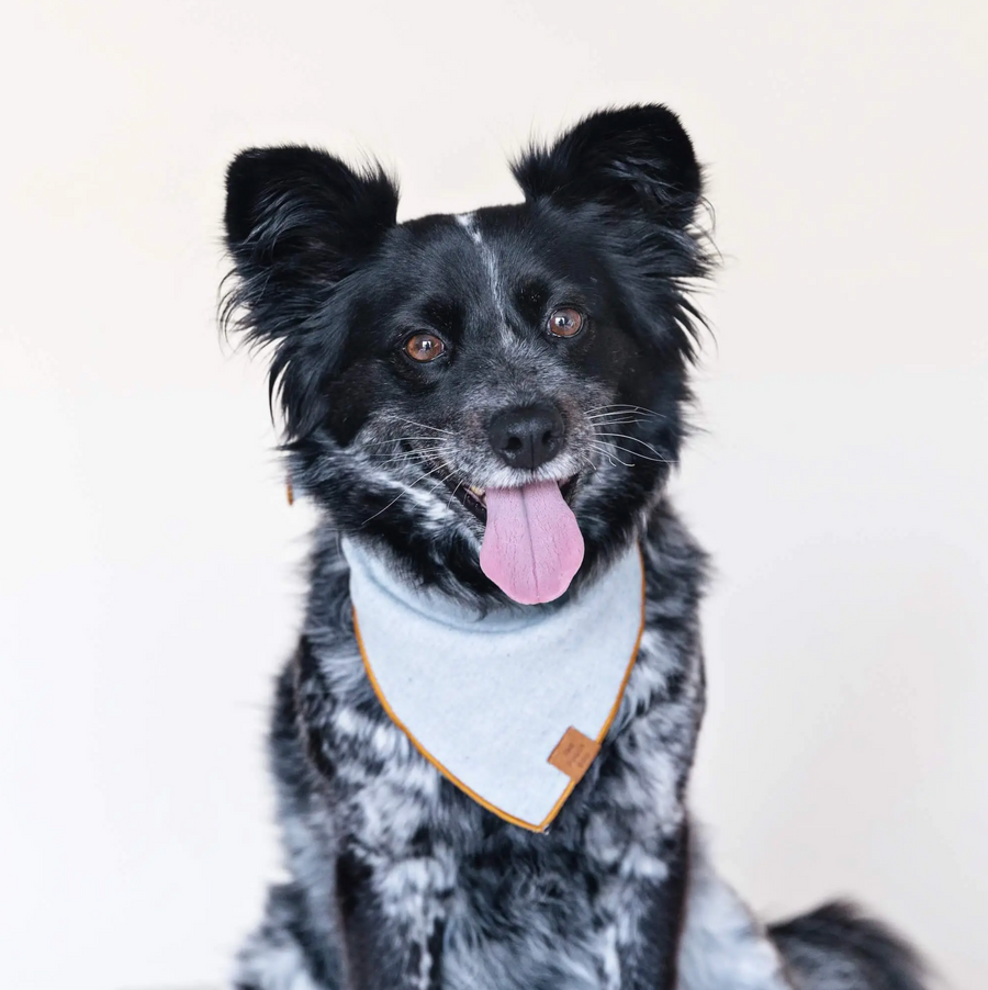 Upcycled Denim Dog Bandana (large dog)