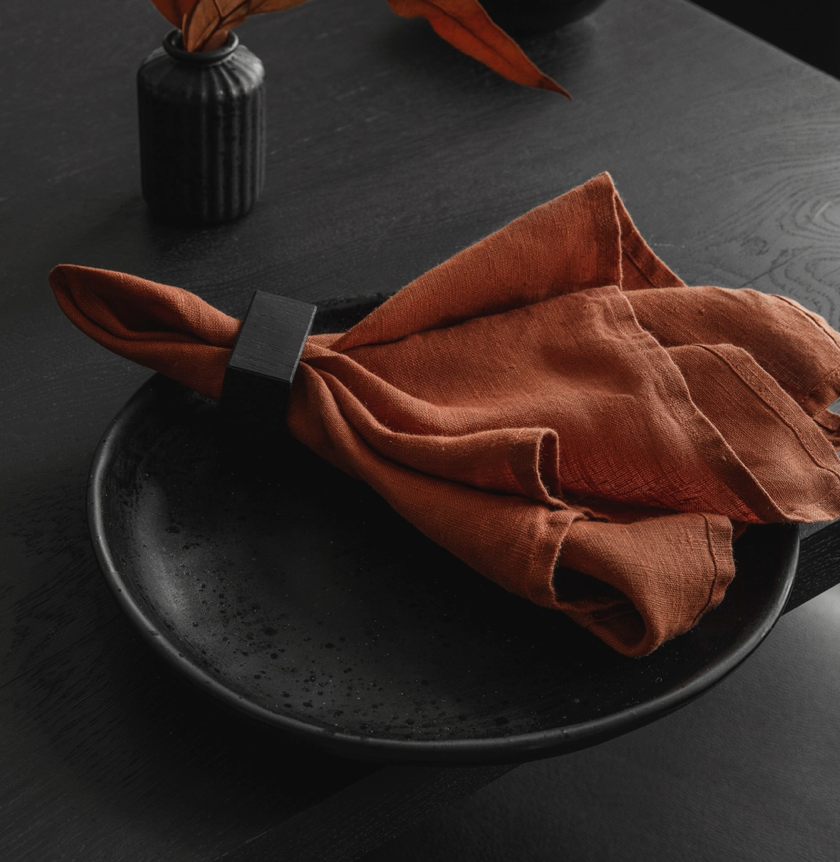 Linen Napkins Terracotta / Set of 2
