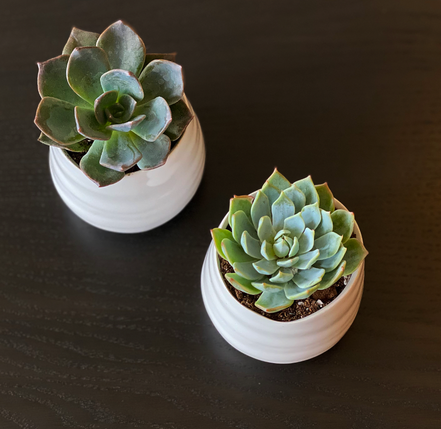 Tegan Planter / White