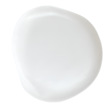 Moonlight Dinner Plate / White