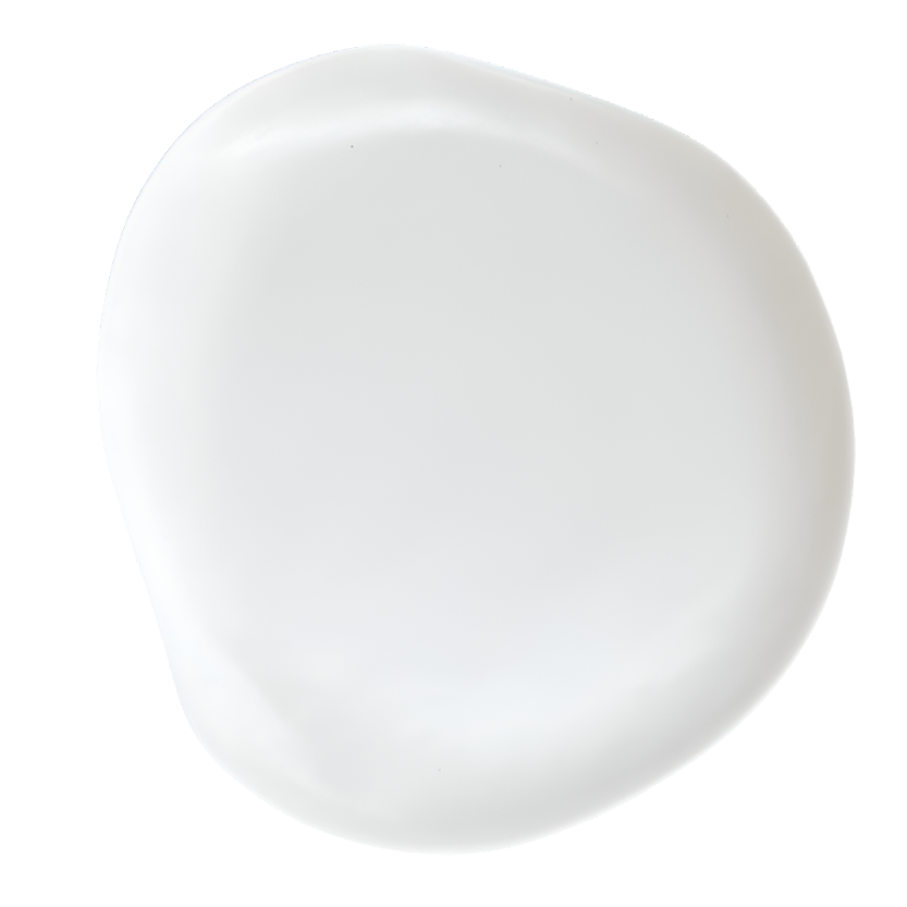 Moonlight Dinner Plate / White