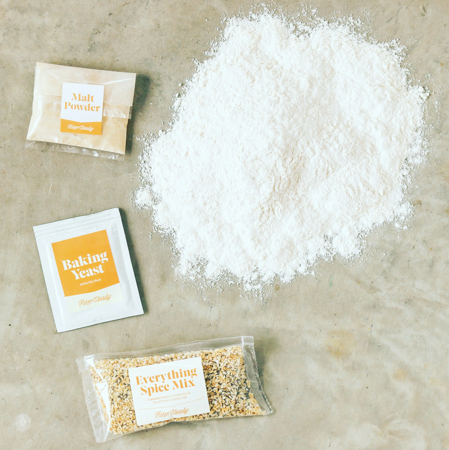 Farm Steady Everything Bagel Making Mix