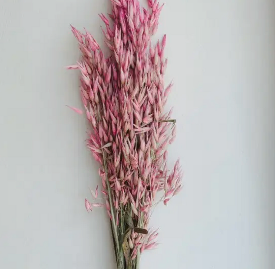 Avena Flowers / Pink