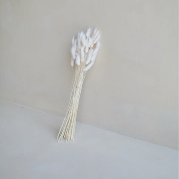 Bunny Tail / Ivory