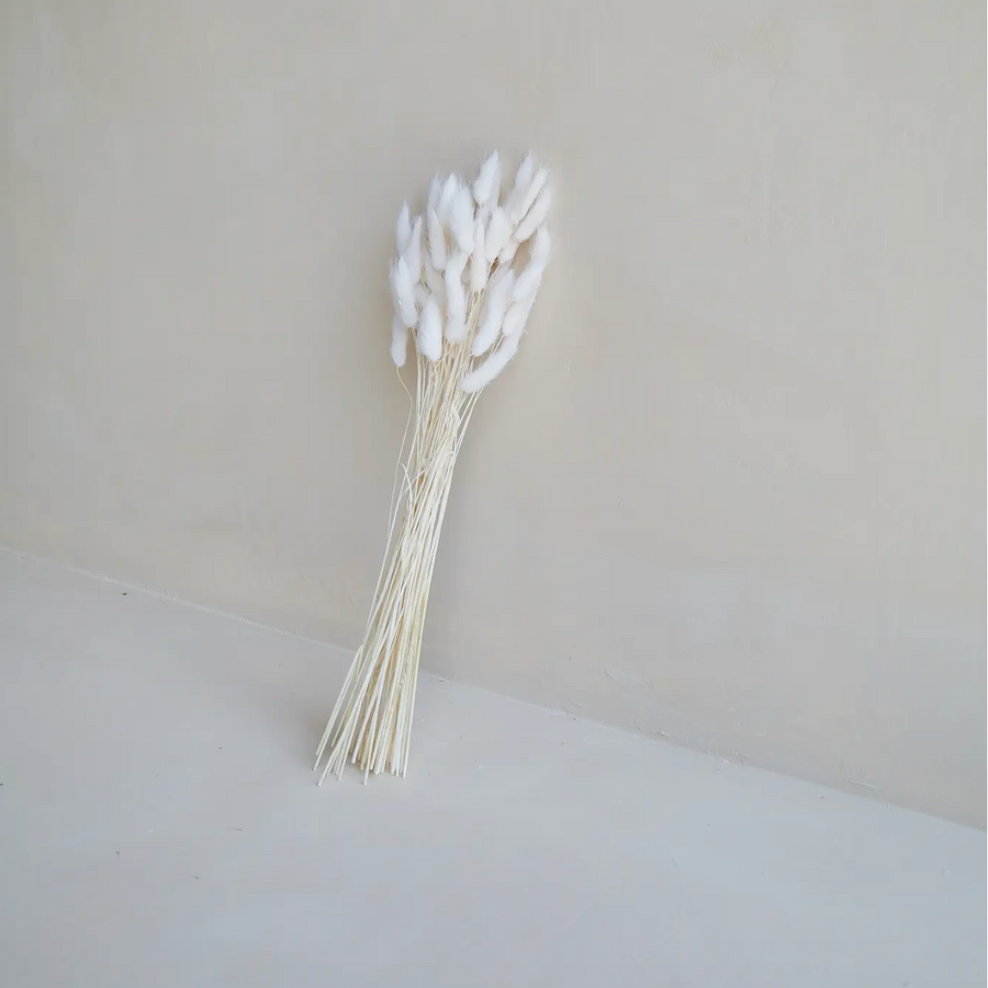 Bunny Tail / Ivory